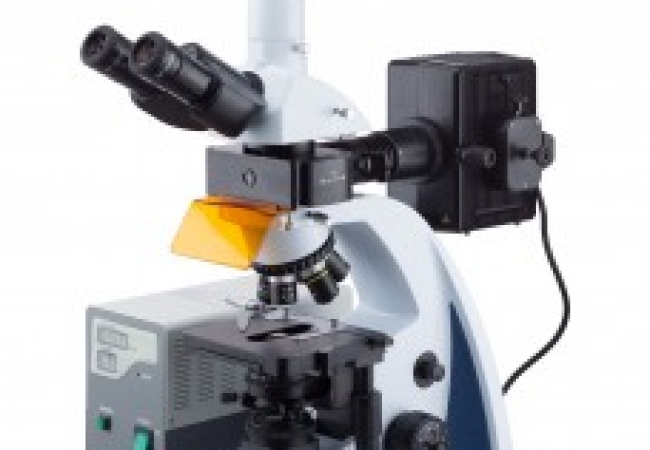 40X-1000X Infinity corrected Fluorescence Microscope