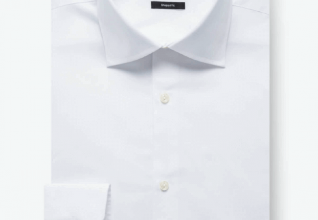 Shaped Fit Long Sleeve Solid Cotton Dress Shirt